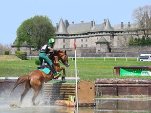 爱游戏电竞-苏格兰橄榄球在欧洲赛事中的市场影响力提升，苏格兰有什么体育项目